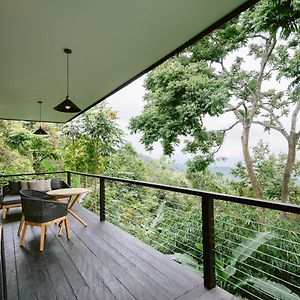 Premium Studio Cabin